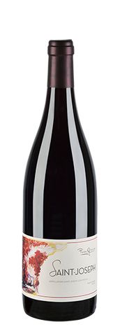Domaine Pierre Gaillard Saint-Joseph Rouge 2020