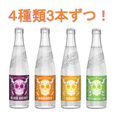 Stone Buenavida Seltzer / Stone Buenavida Seltzer Set of 12!!