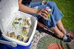 Karl Strauss Mosaic Session IPA / Karl Strauss Mosaic Session IPA