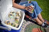 Karl Strauss Mosaic Session IPA / Karl Strauss Mosaic Session IPA